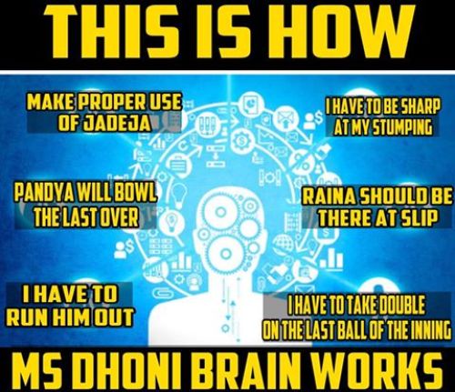 How dhoni mind works memes