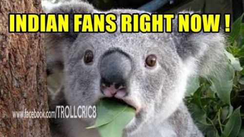Indian fans trolls