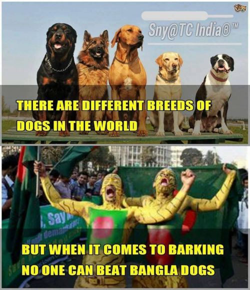 Bangladesh fans tiger trolls