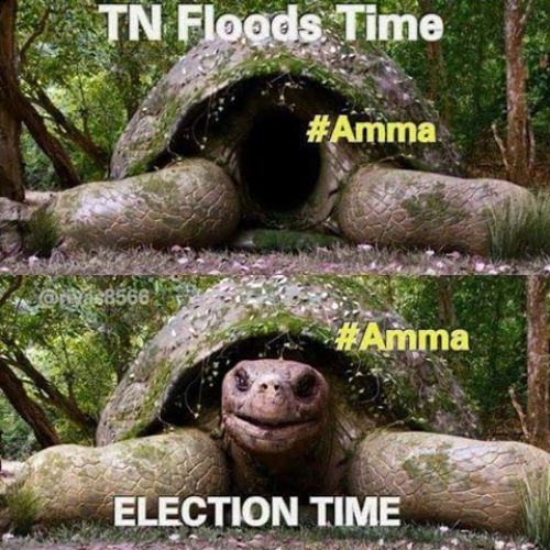 Amma election trolls