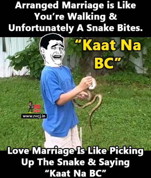 Love marriage meme trolls