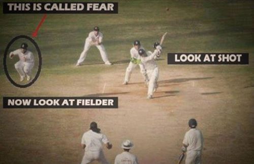 Cricket memes