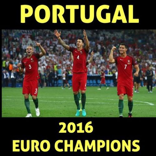 Cristiano Ronaldo Euro Cup Win Memes