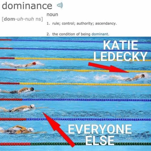 Katie ledecky swimming memes in olympics