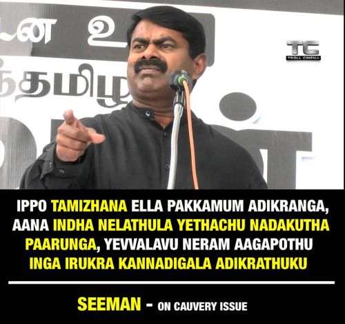 Cauvery issue: Seeman condemns attack of Tamil pictures