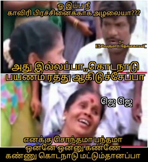 Jayalalitha karnataka high court judgement status