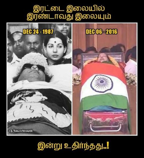 Jayalalitha two leaves memes