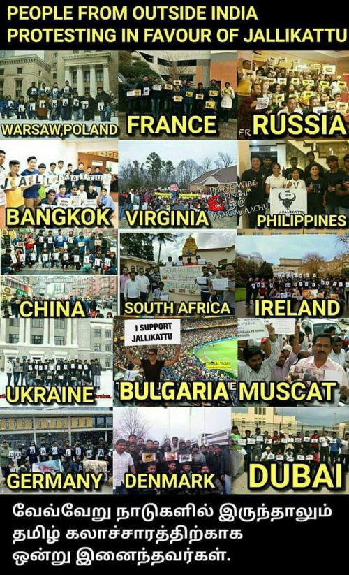 Jallikattu worldwide protest pics