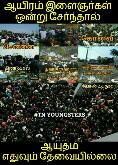 Youngsters jallikattu support memes