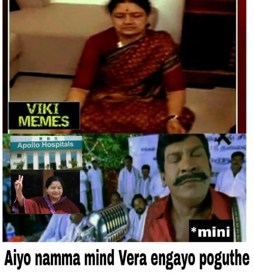 Sasikala at Amma Samathi memes