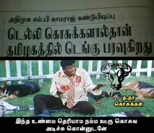 Dengue fever tamil memes