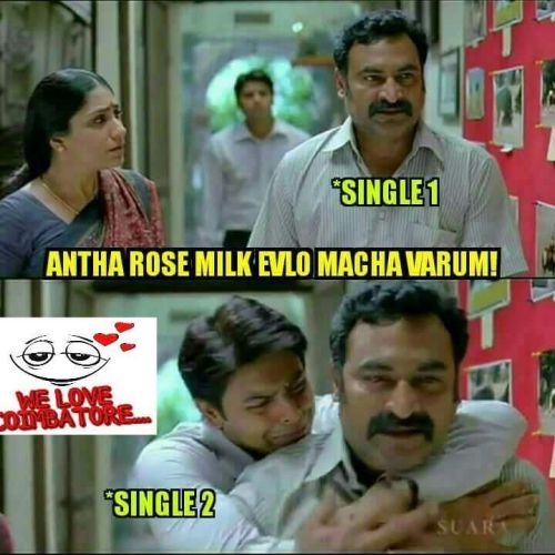 Rose milk single memes