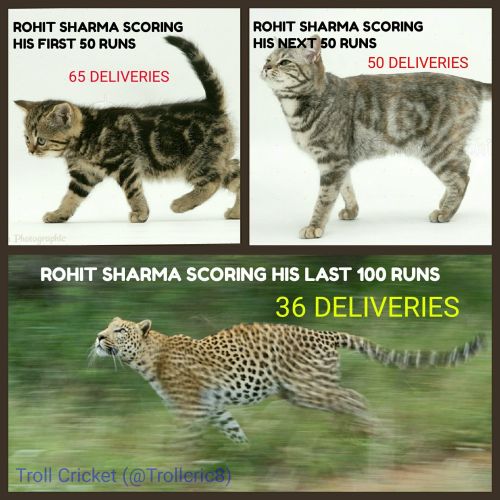 Rohit sharma vs Srilanka tamil memes