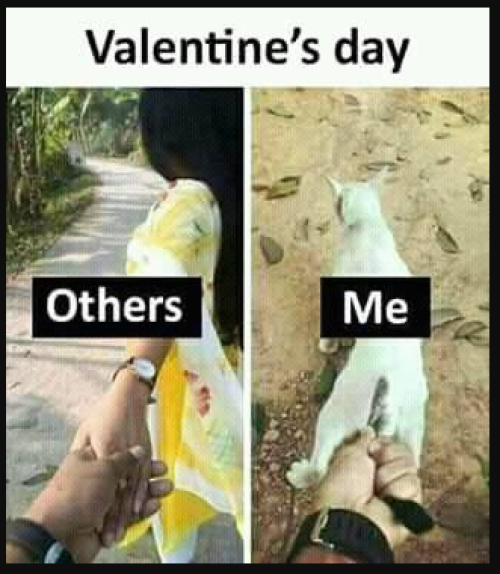 Valentine Day (Feb 14) Tamil Memes and Trolls