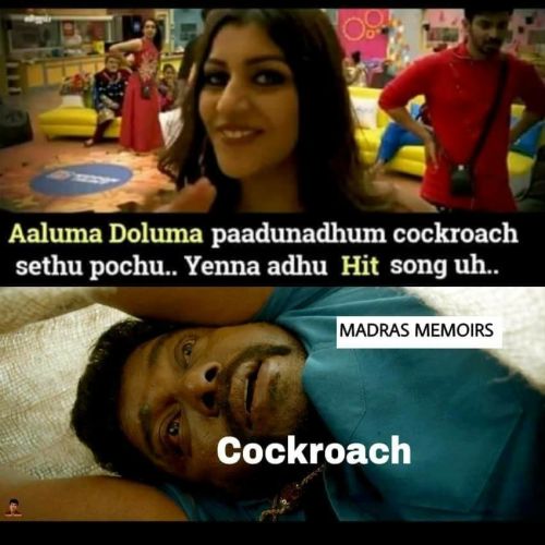 Yashika Cockroach Memes