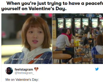Valentines day funny memes and quotes